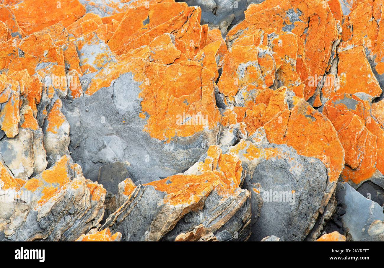 Orange hue on the granite rocks comes from lichens, a combination of algae and fungus that can be found on the Tasmanian coast. Stock Photo