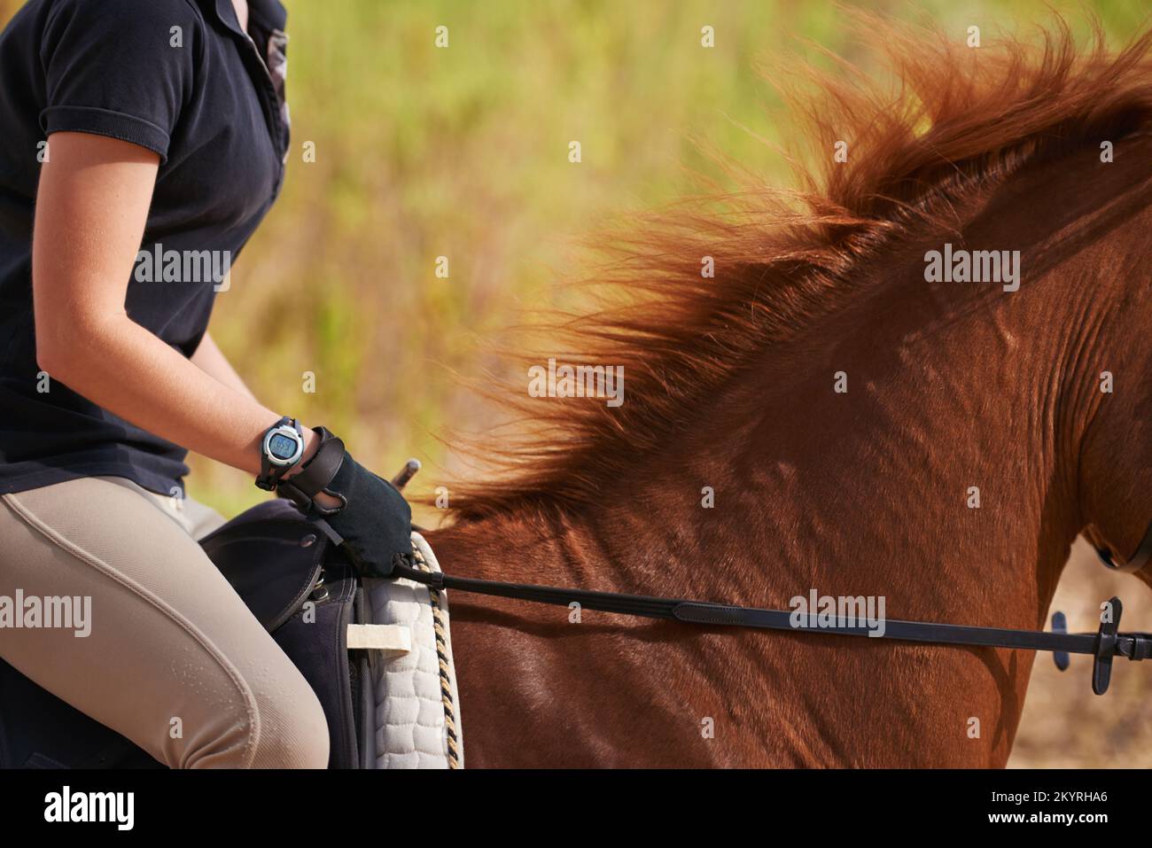 Ride like the wind. A cropped image of a woman rider on a chestnut horse. Stock Photo