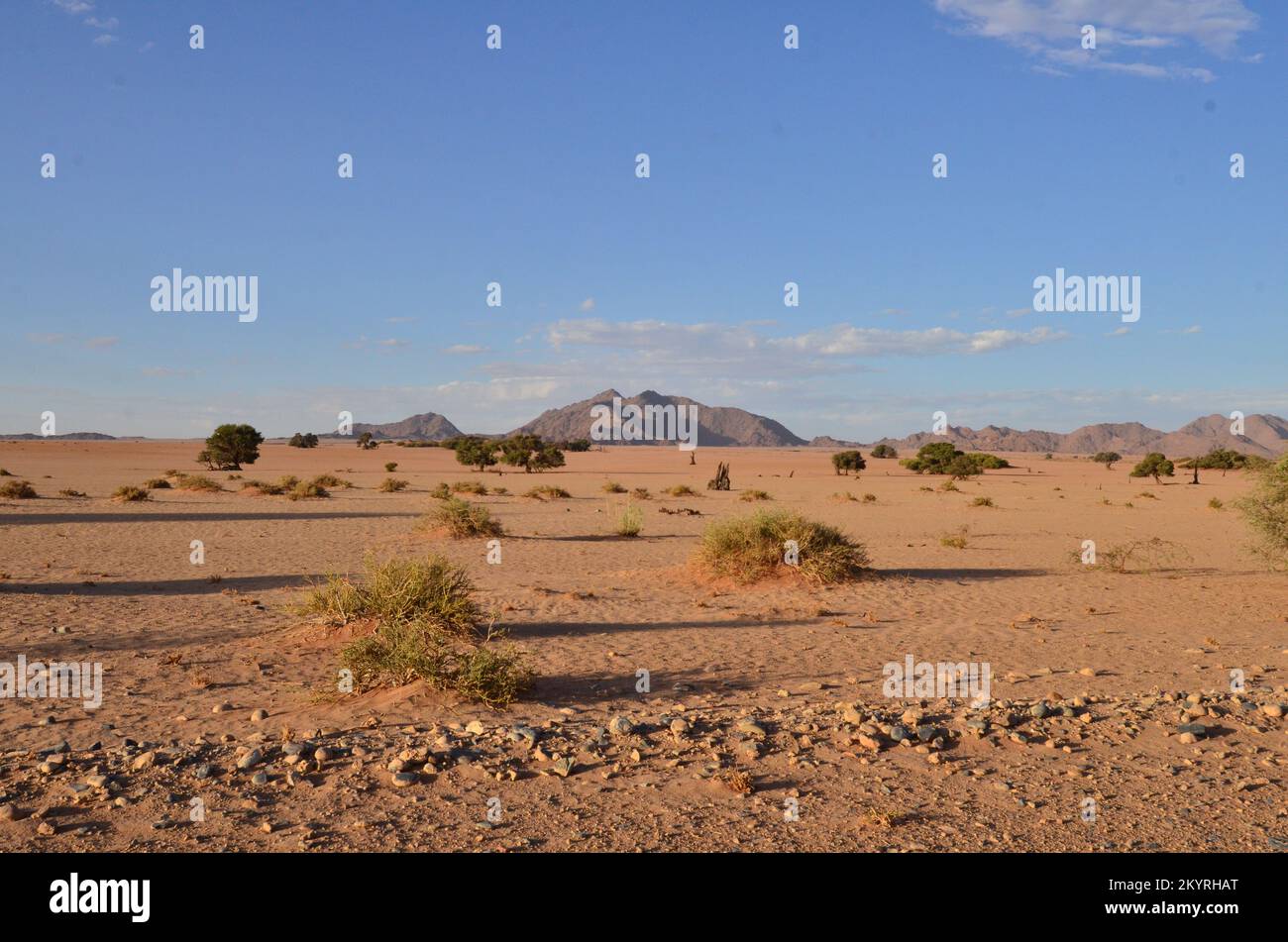 Amazing View from dune in dry pan of Sossusvlei Namib Naukluft National Park Stock Photo