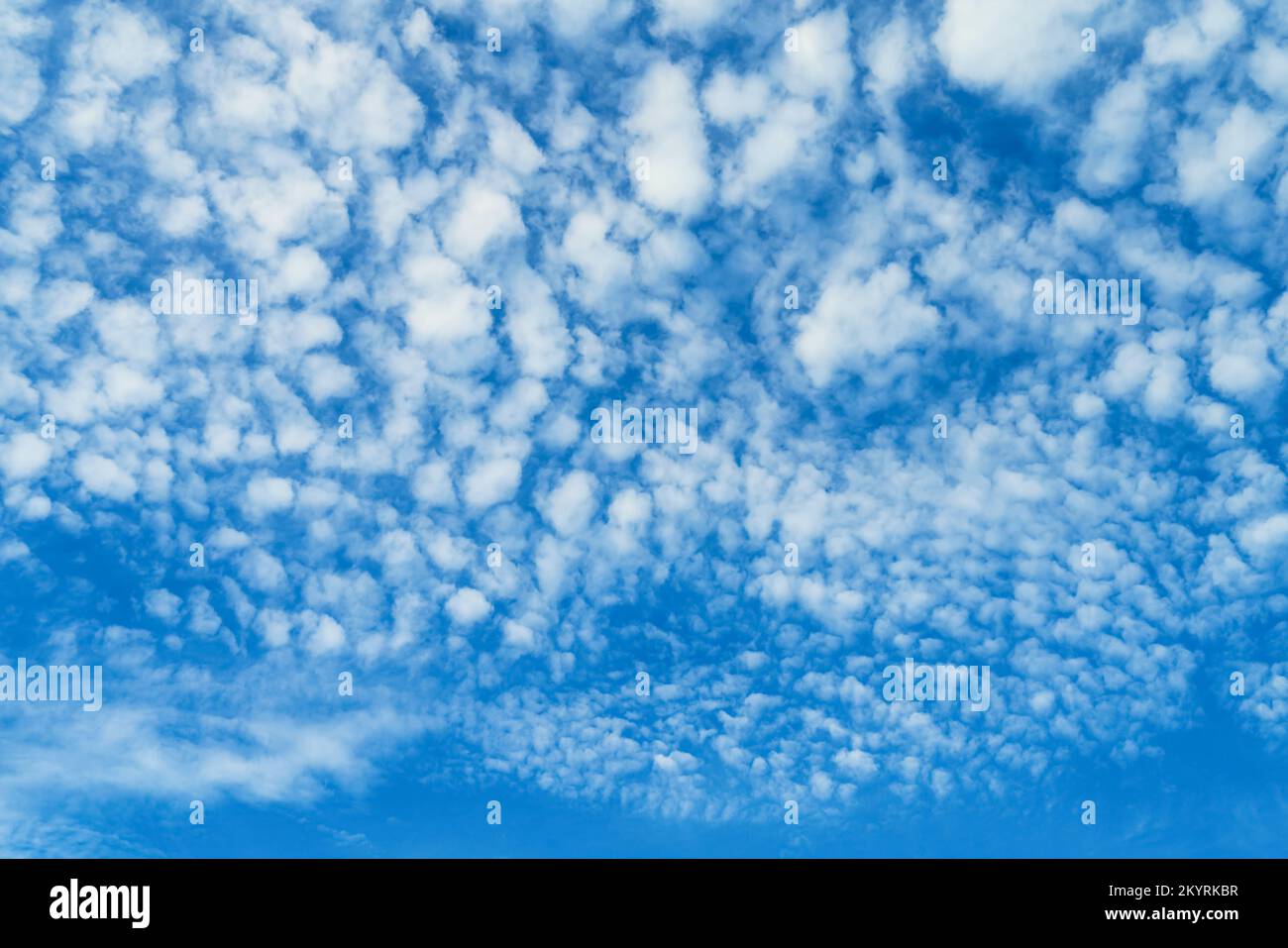 Altocumulus stratiformis perlucidus cloud against the bright blue sky. Nature background Stock Photo