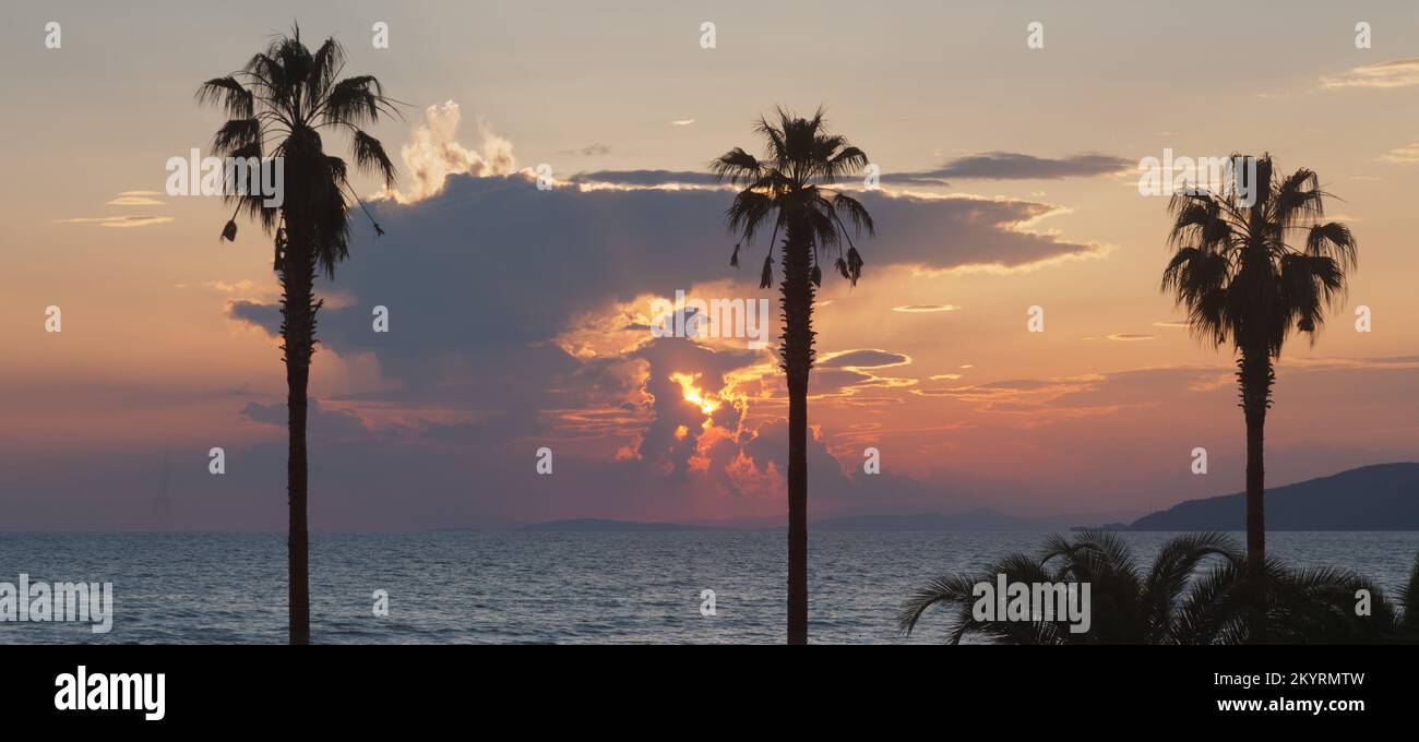 Sun setting over the sea with dramatic clouds and foreground palm trees Stock Photo