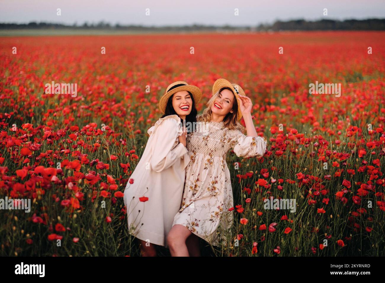 Two girlfriends in dresses and a hat in a poppy field in summer at ...
