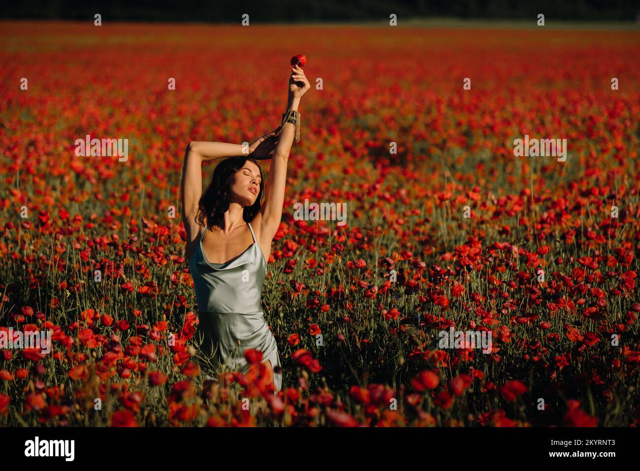 Portrait of a girl in a dress on a poppy field at sunset Stock Photo ...