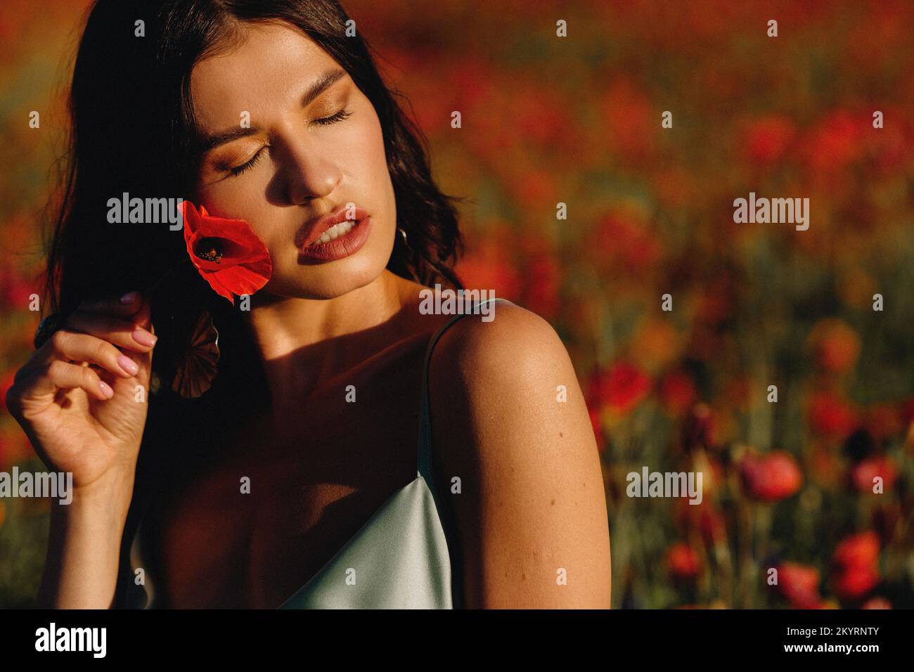 Portrait of a girl in a dress on a poppy field at sunset Stock Photo ...