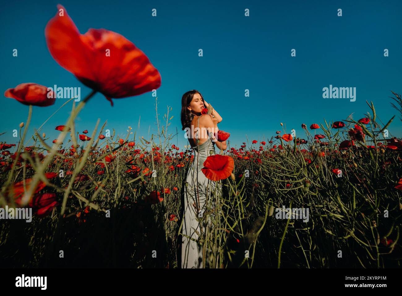 Portrait of a girl in a dress on a poppy field at sunset Stock Photo ...
