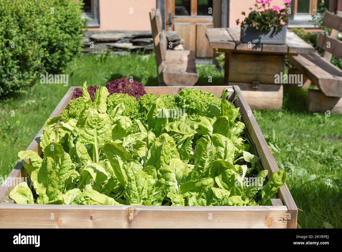 Raised bed bench garden hi-res stock photography and images - Alamy