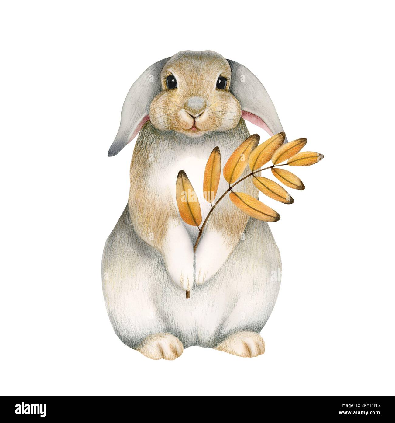 Watercolor illustration of cute fluffy grey rabbit with yellow leaf in ...