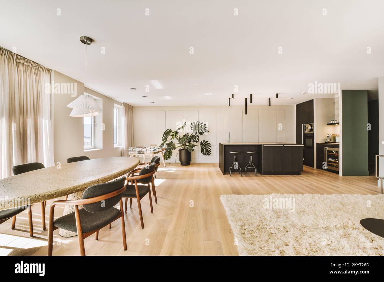 Picture of Contemporary minimalist style interior design of light studio apartment ...