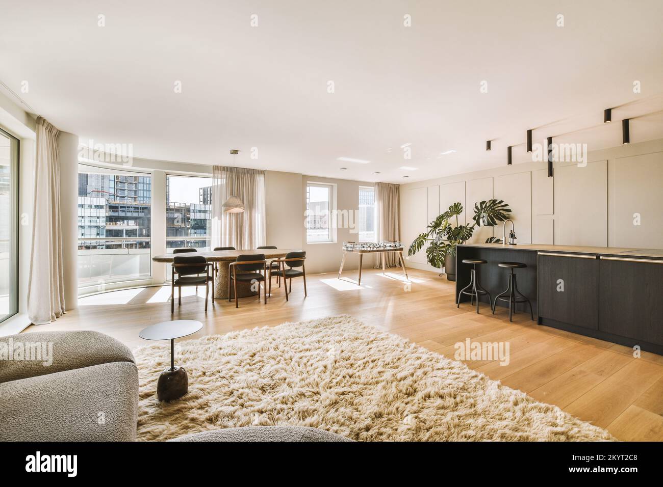 Picture of Contemporary minimalist style interior design of light studio apartment ...