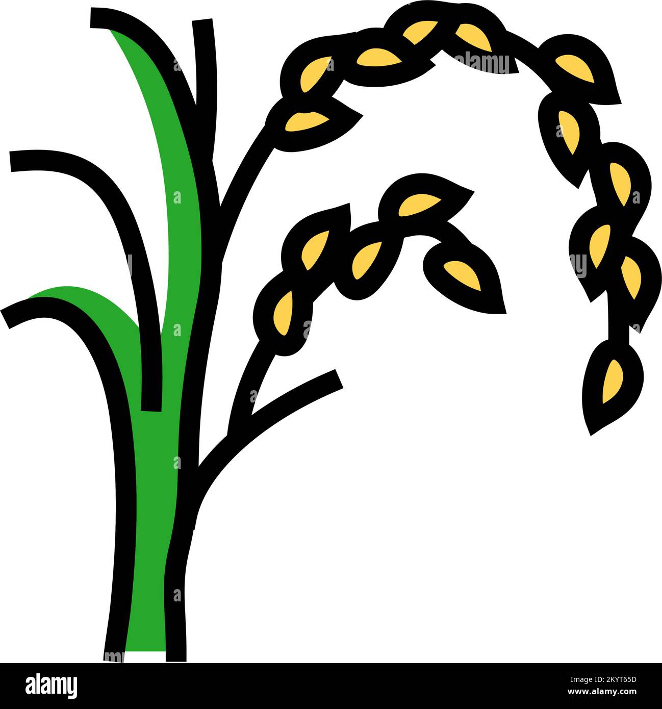 Ring of rice Stock Vector Images - Alamy