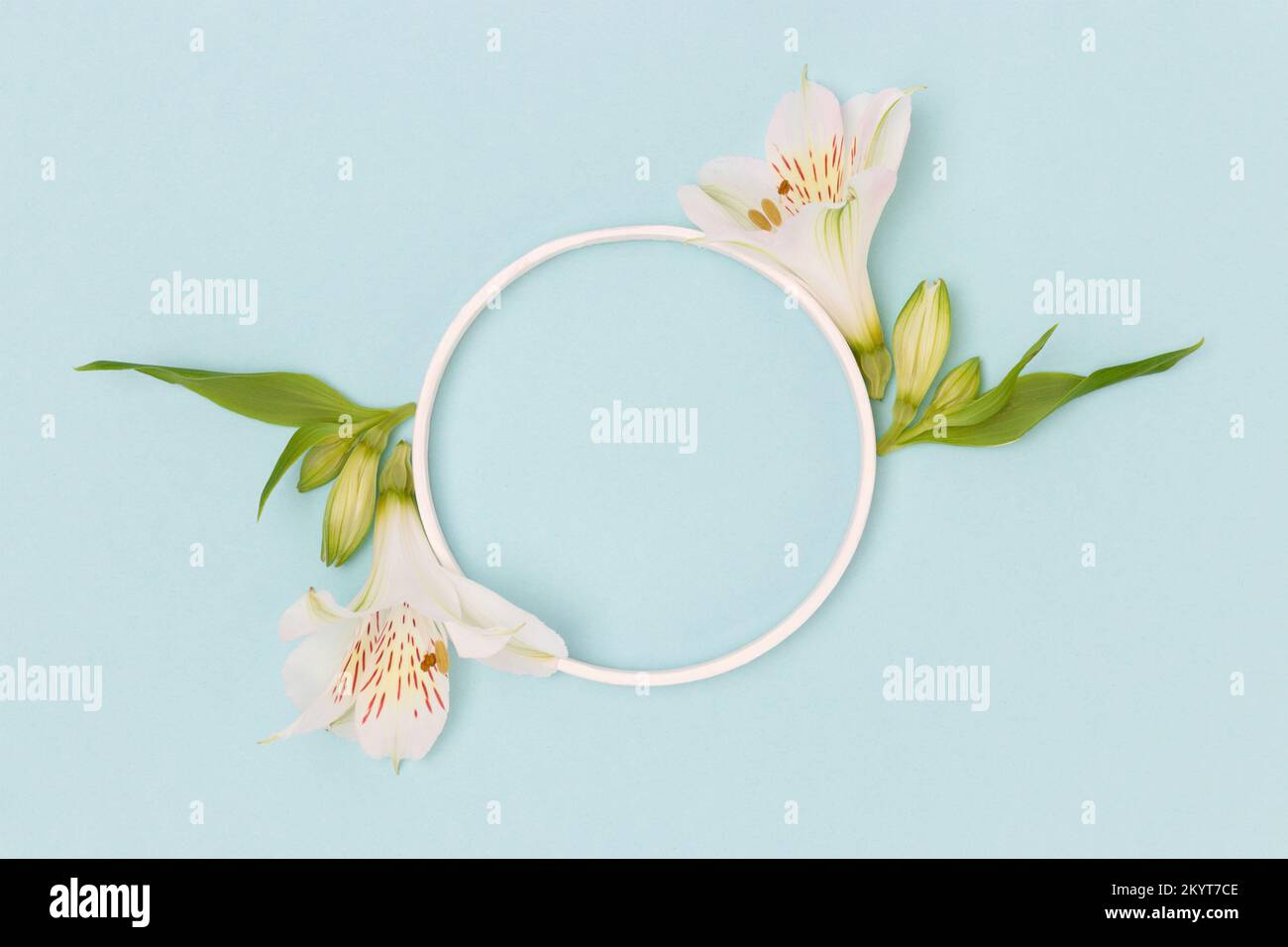 Round frame made of green leaves and white alstroemeria flowers on a ...