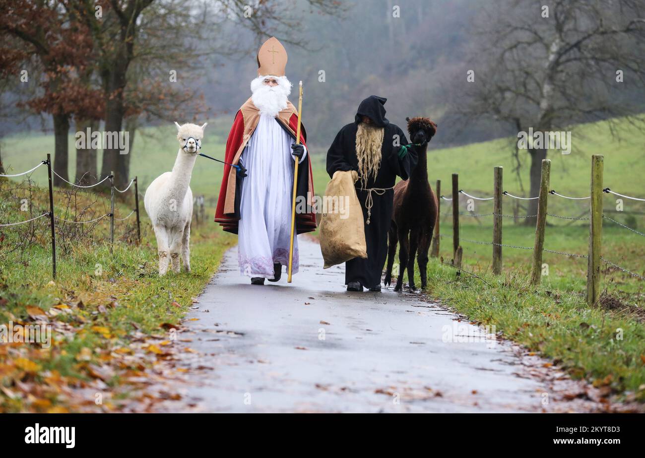 Ertingen, Germany. 02nd Dec, 2022. Two men dressed as St. Nicholas and Knecht Ruprecht are on their way to a St. Nicholas party with alpacas on a leash in Binzwangen. Credit: Thomas Warnack/dpa/Alamy Live News Stock Photo