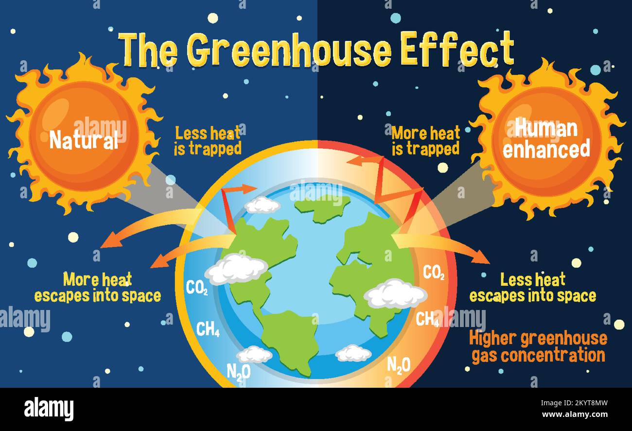 Diagram Showing The Greenhouse Effect Illustration Stock Vector Image diagram-showing-the-greenhouse-effect-illustration-stock-vector-image