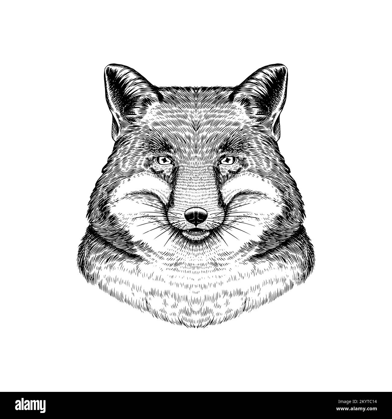 Red Fox. Forest animal or ginger beast. Vector Engraved hand drawn