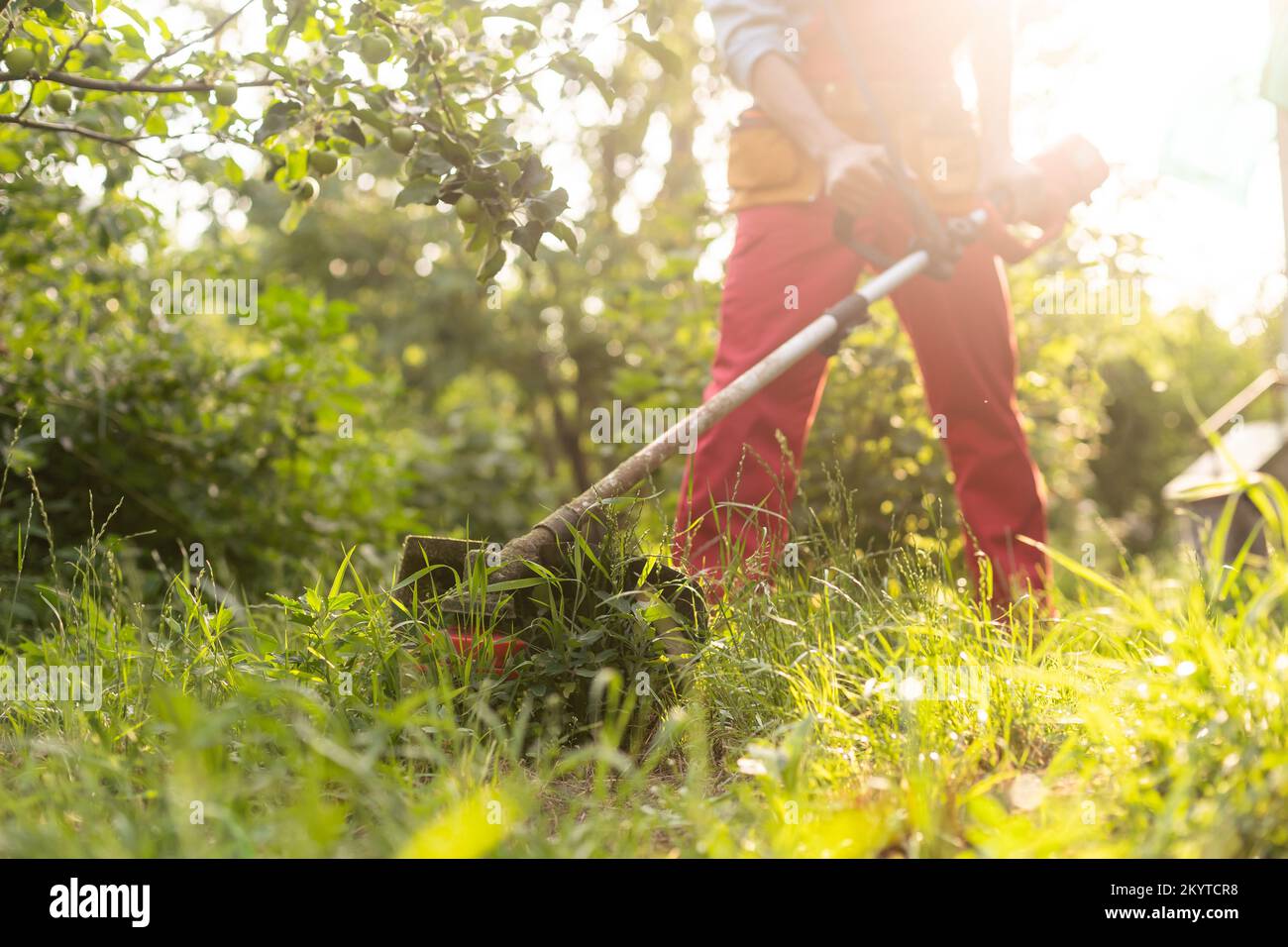 Man worker cutting grass with lawn mower Stock Photo Alamy