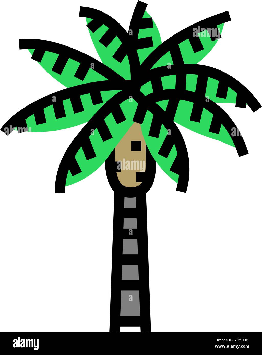 queen palm tree color icon vector illustration Stock Vector