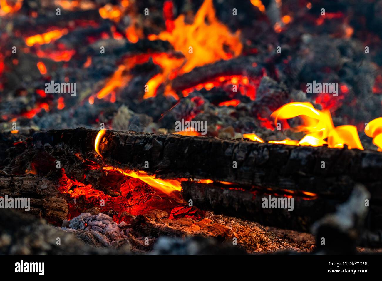 Does Ash Wood Smoke a Lot? Discover the Truth!