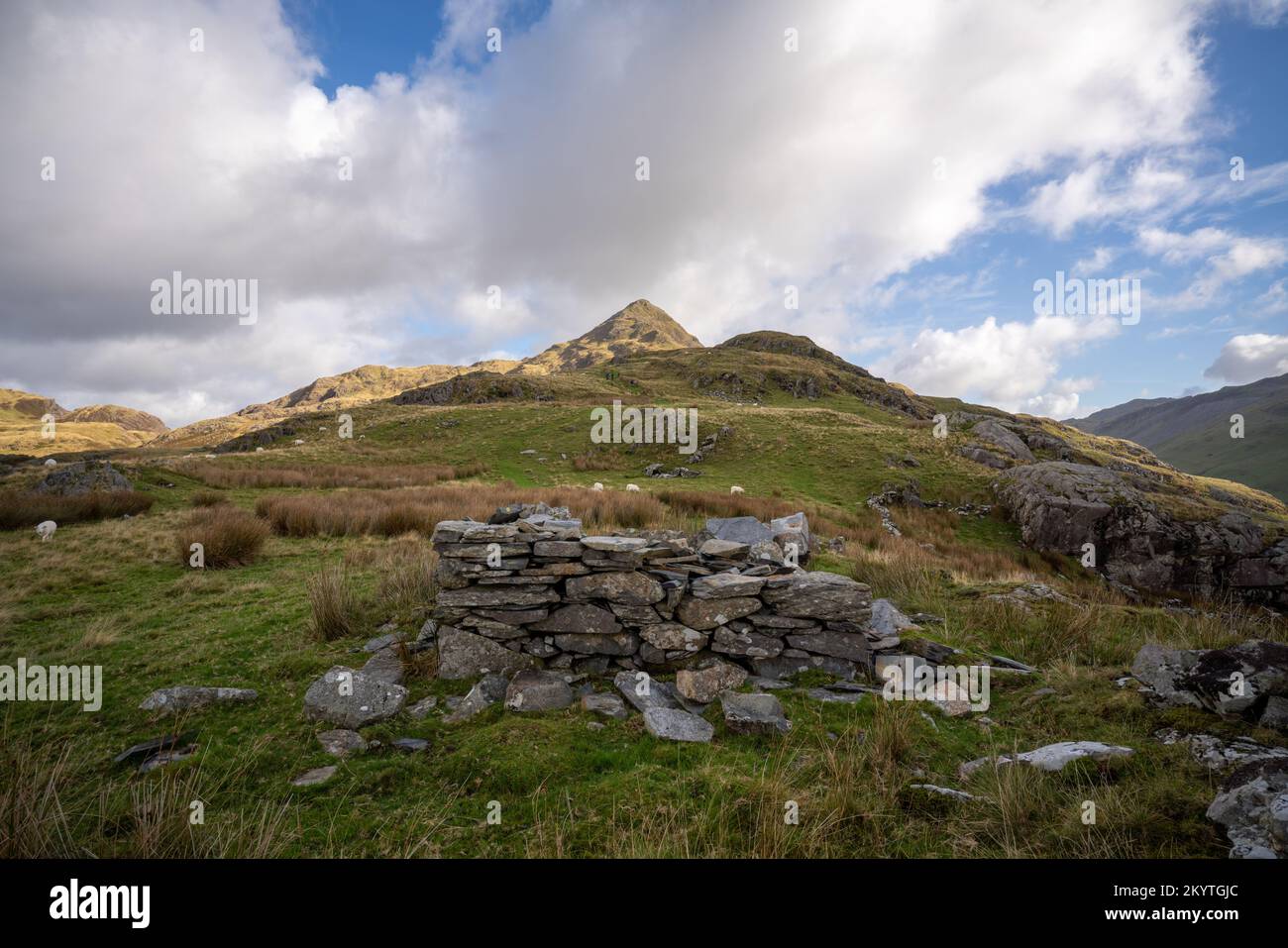 On route climbing Cnicht Mountain in the Snowdonia national park in North Wales, UK, Stock Photo