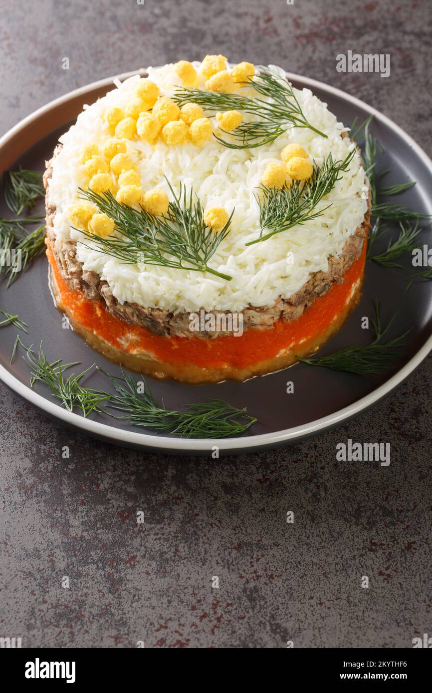 Traditional Russian salad Mimosa with vegetables, eggs and canned fish  closeup on the plate on table. Vertical Stock Photo - Alamy