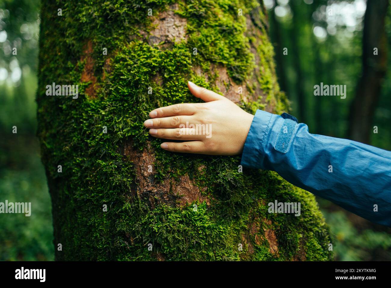Close-up of young female hand touching old moss tree bark, protect nature, green eco-friendly lifestyle. Conservation, ecology, environment concept Stock Photo