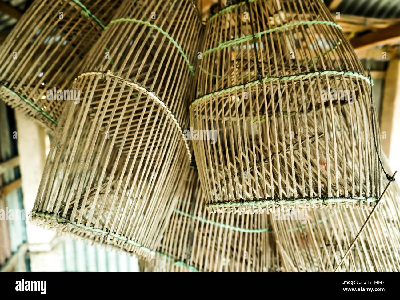 bamboo fishing trap made from bamboo wood isolated Stock Photo