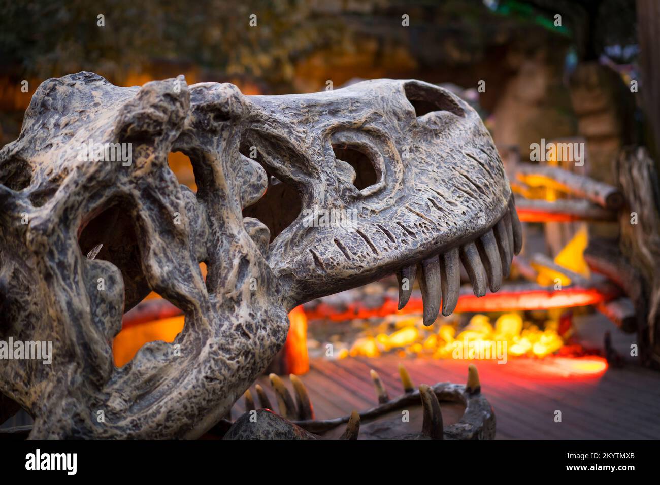 Land of the Living Dinosaurs at West Midland Safari Park: moody close up of a large dinosaur skull backlit with bright yellow & orange lights. Stock Photo