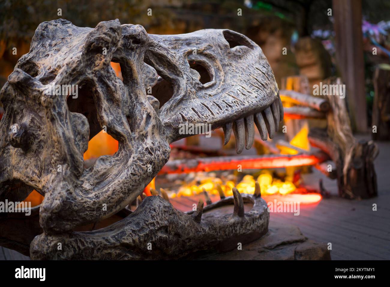 Land of the Living Dinosaurs at West Midland Safari Park: moody close up of a large dinosaur skull backlit with bright yellow & orange lights. Stock Photo