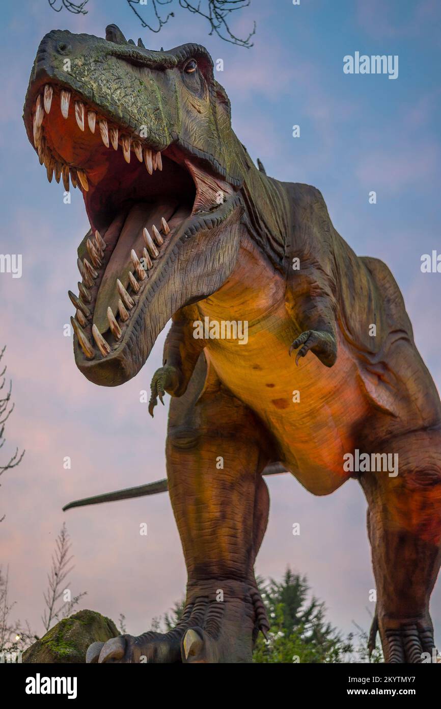 Land of the Living Dinosaurs: front view of a large dinosaur, Tyrannosaurus rex (T-rex) exhibit isolated outdoors with jaw wide open. Stock Photo