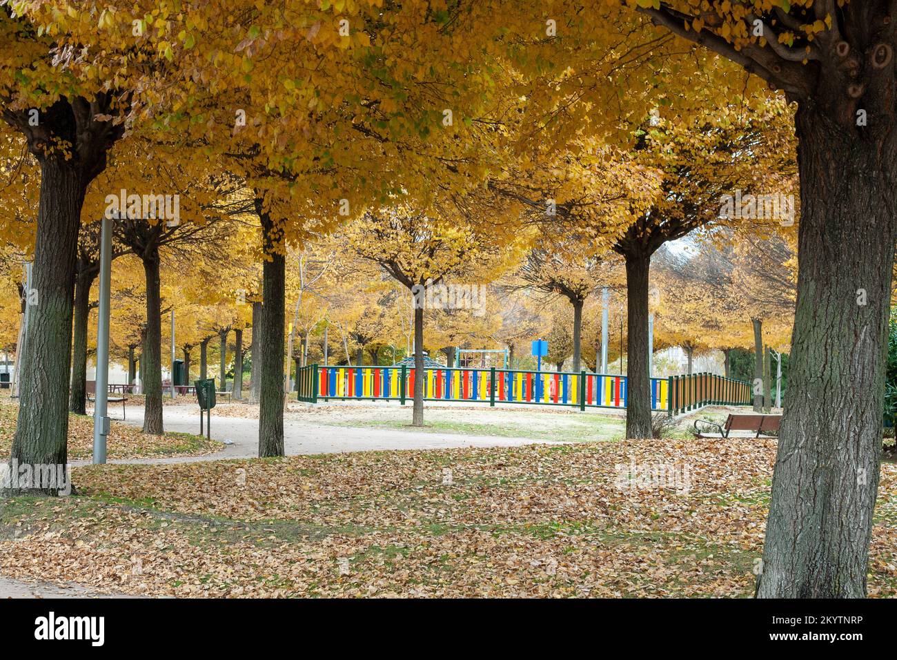 Children's playground in the city of Madrid in the autumn season where the fall and change of color of the leaves of the trees can be seen Stock Photo