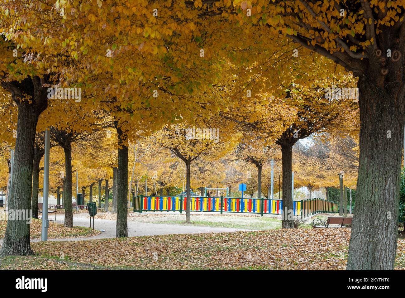 Children's playground in the city of Madrid in the autumn season where the fall and change of color of the leaves of the trees can be seen Stock Photo