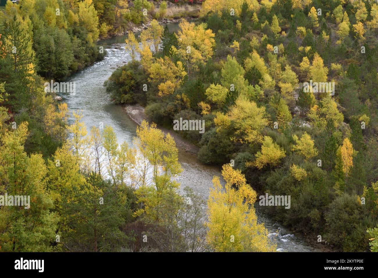Autumn Colours on a Bend of the River Verdon just south of Castellane ...