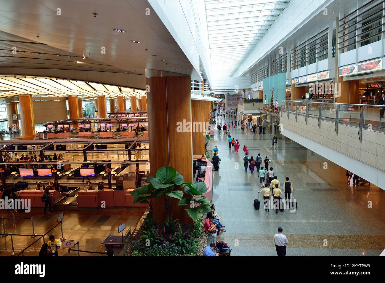 SINGAPORE - NOVEMBER 09, 2015: check-in zone at Changi Airport ...