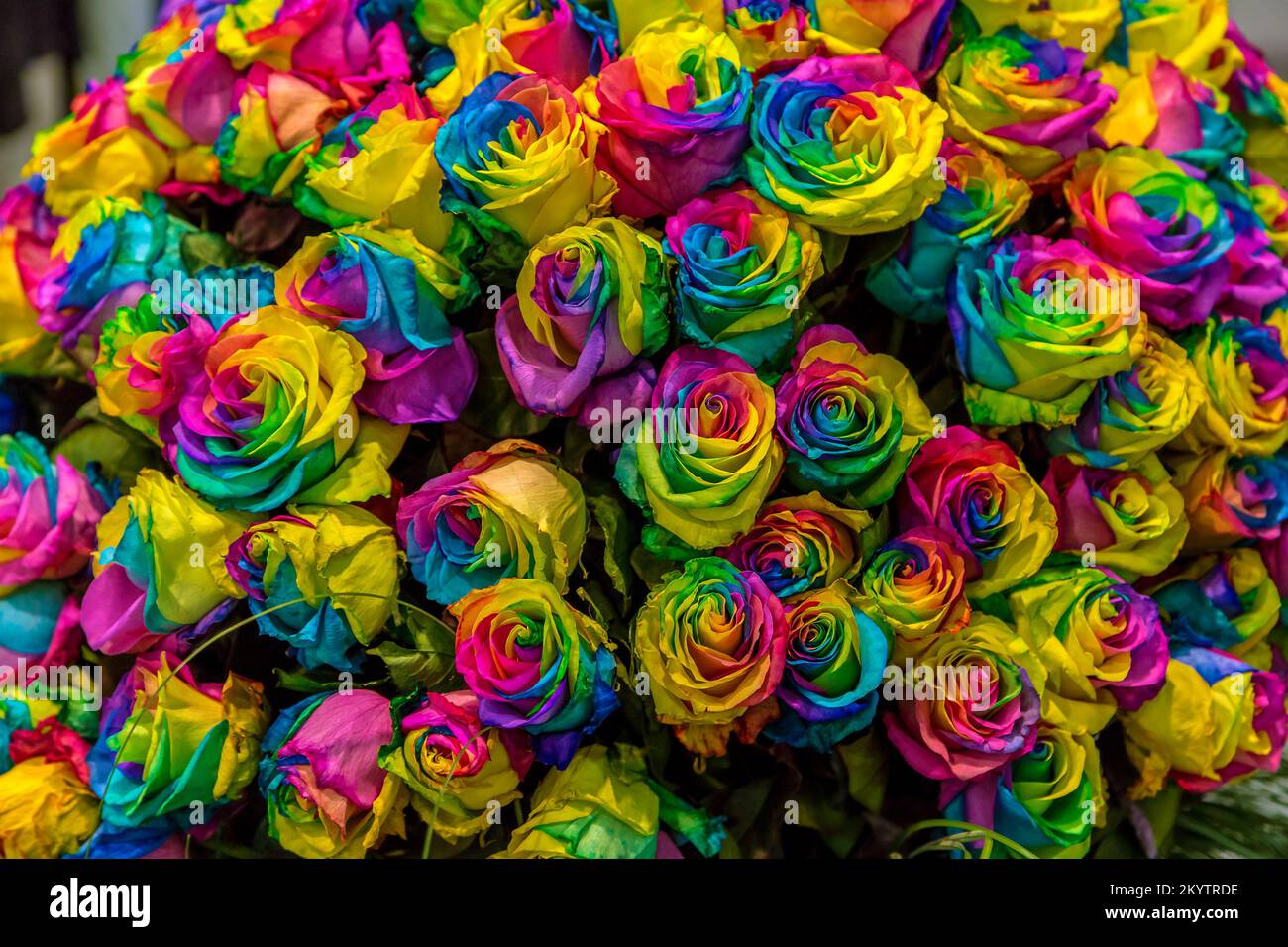 Happy birthday colorful roses beautiful hi-res stock photography and ...