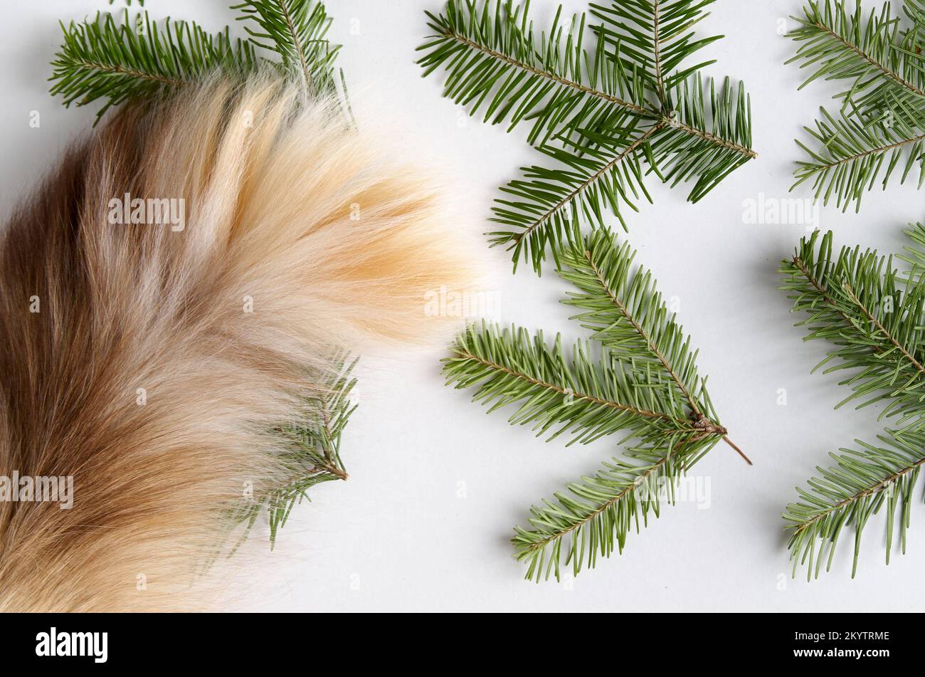 Christmas fletley from spruce branches and a fluffy cat's tail Stock Photo
