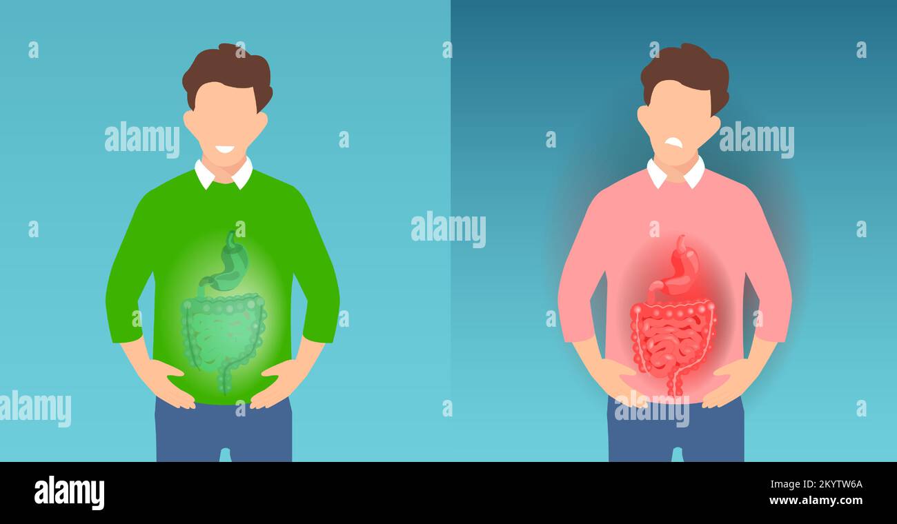 Vector of a man with belly pain and gastrointestinal tract inflammation pain and a guy with healthy guts Stock Vector