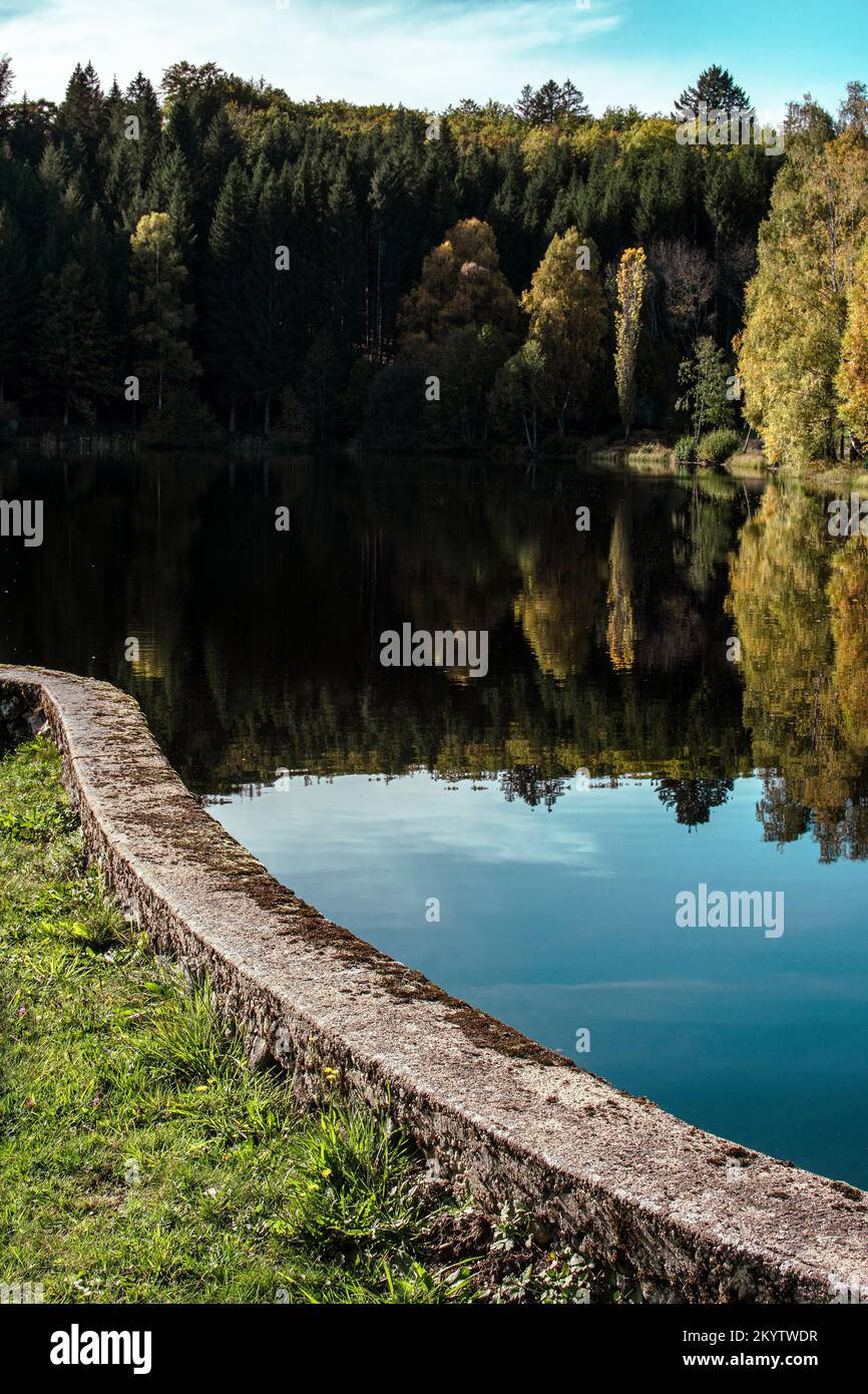Vertical shot of a lake surrounded by green forests Stock Photo