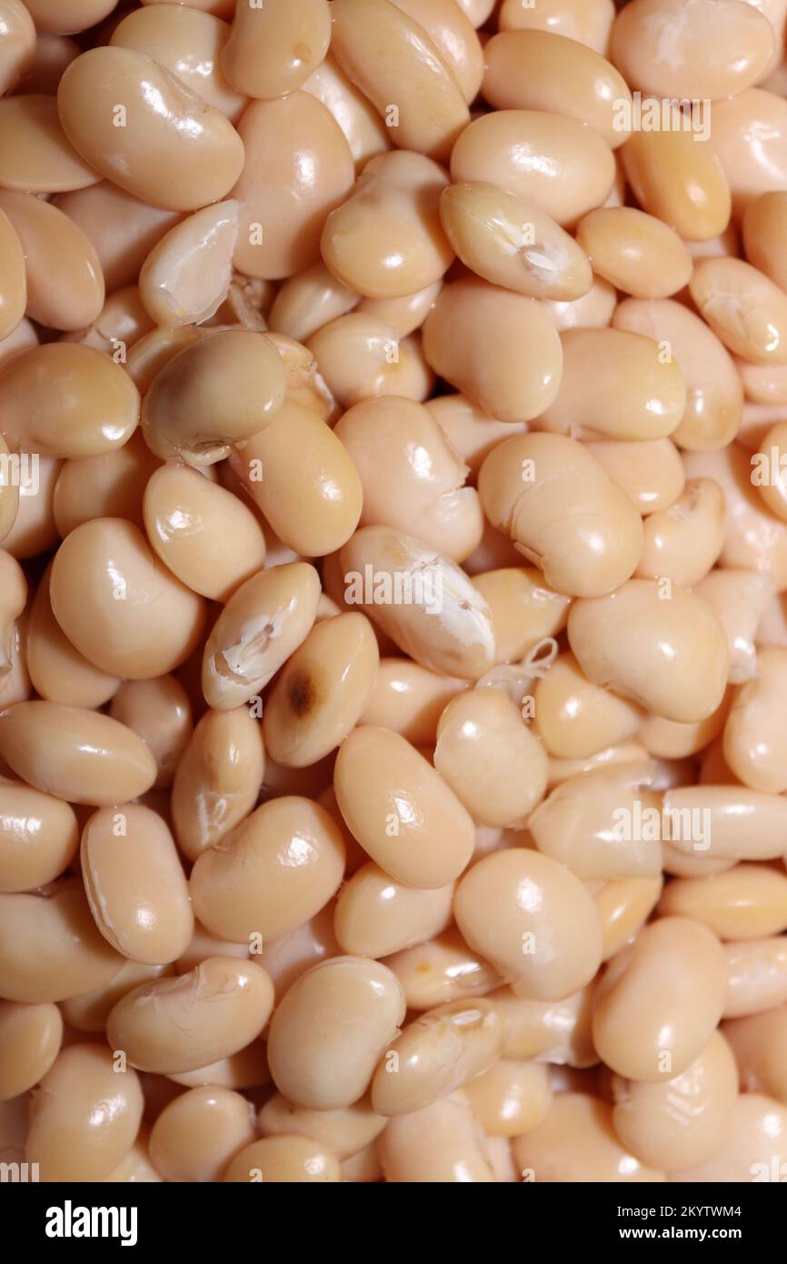 Background image formed from different types of beans, butter beans and