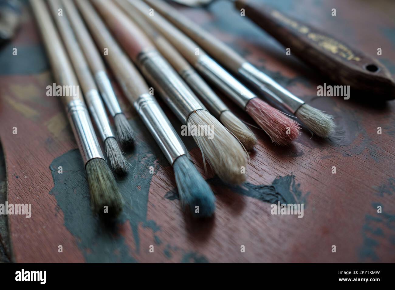 A collection of eight old paintbrushes of varying sizes on an artist's palette with the brush end facing the camera Stock Photo