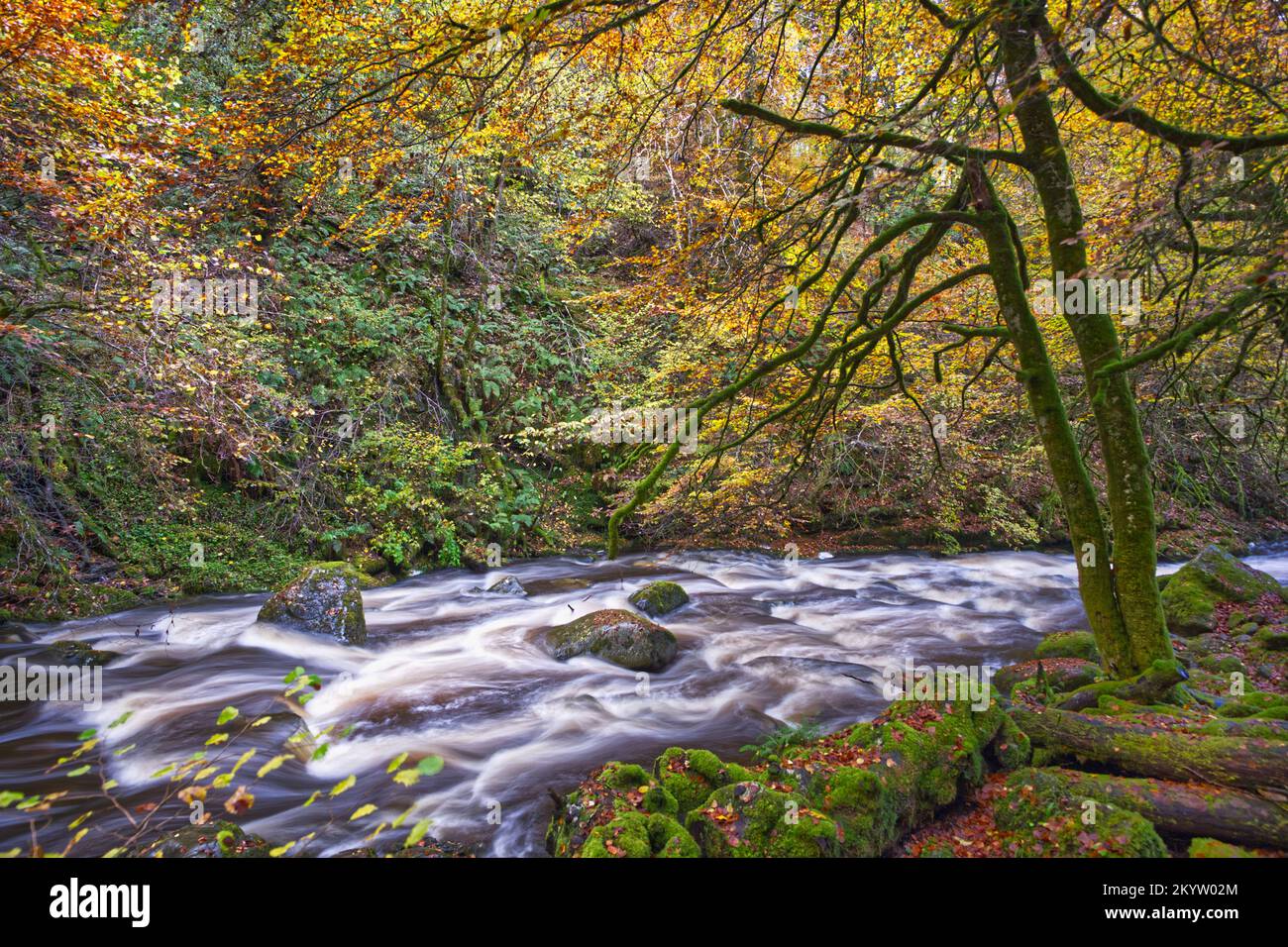 The Birks of Aberfeldy Stock Photo