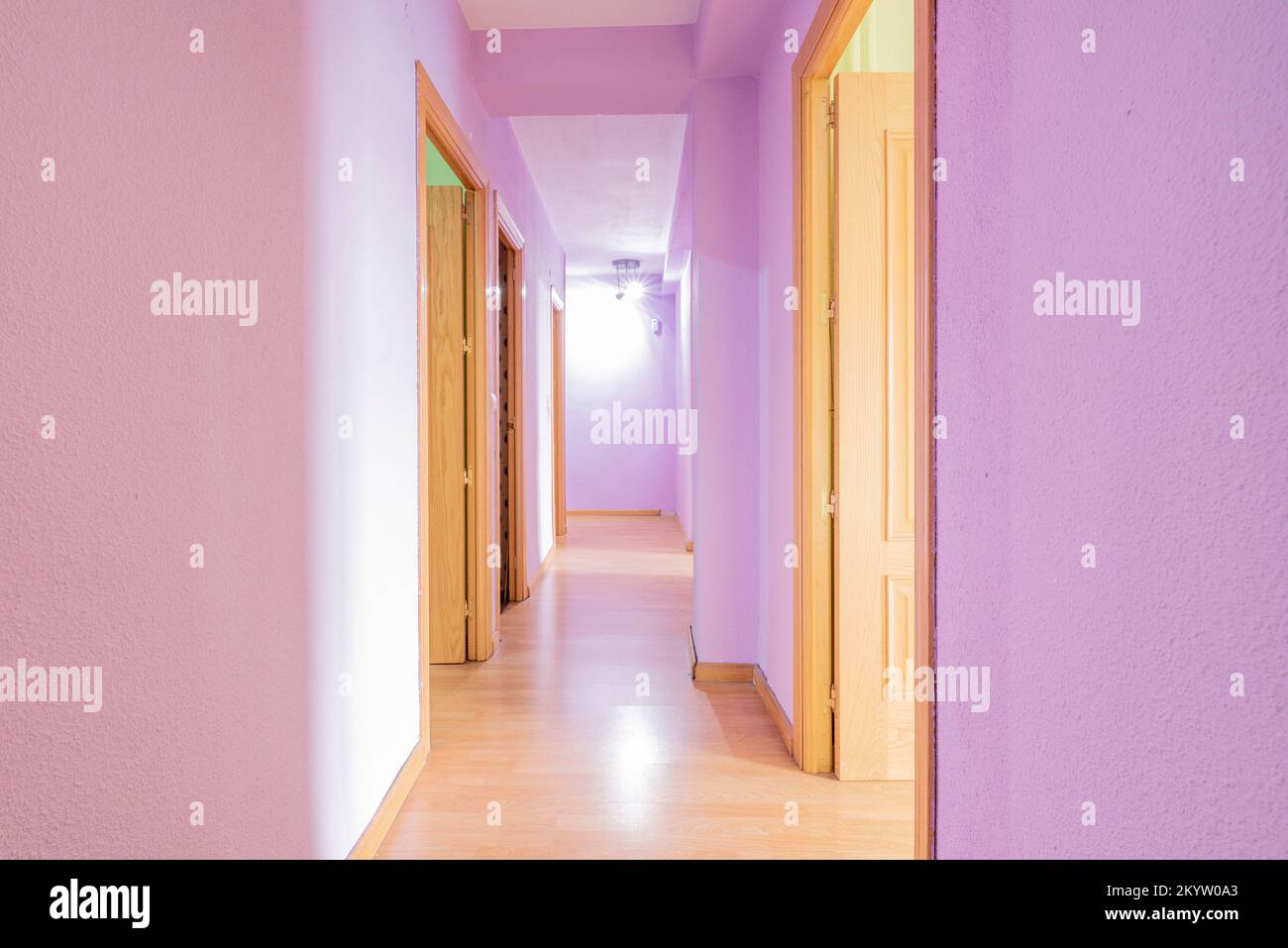 Corridor of a house with access doors to various rooms with laminated flooring, light oak door carpentry and fuchsia walls Stock Photo