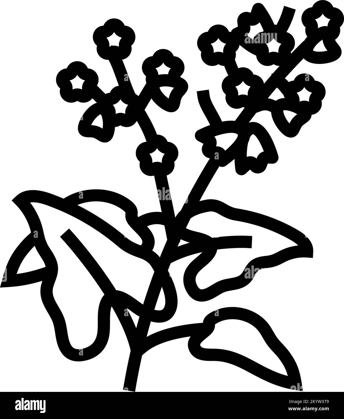 buckwheat plant healthy line icon vector illustration Stock Vector