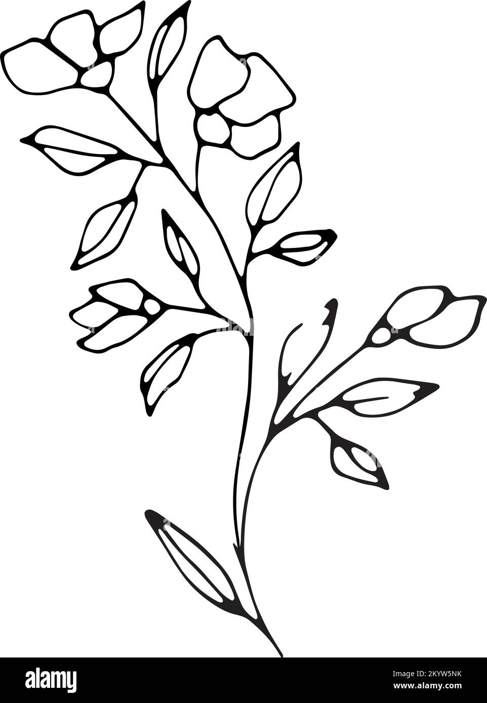 Set of graphic vector plant branches with flowers. buds and berries ...