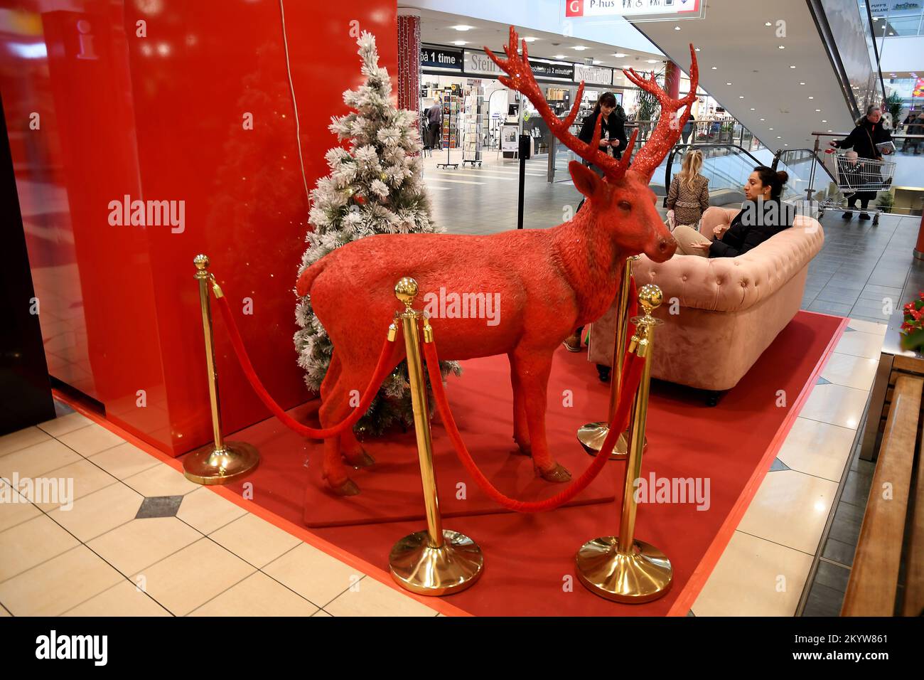 Copenhagen/Denmark/02.December 2022/ Decorated christmas trees and