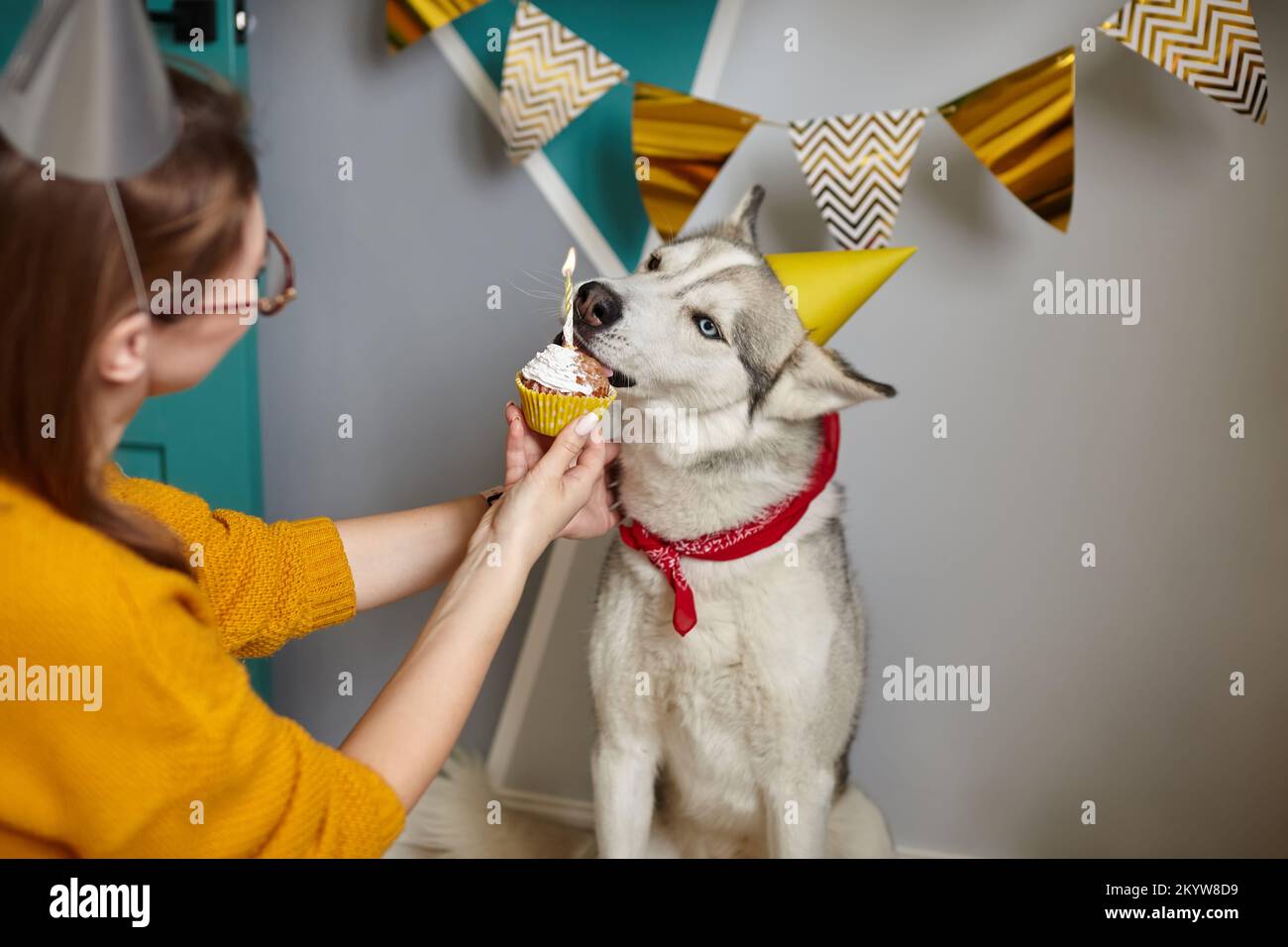 Dog lick woman hi-res stock photography and images - Alamy