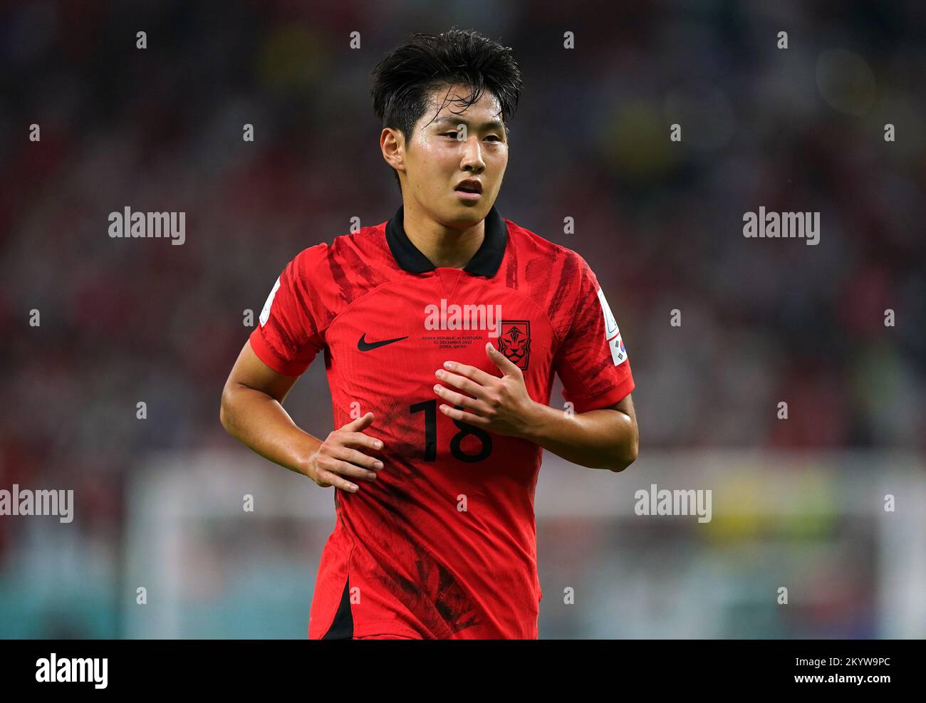 South Korea's Lee KangIn during the FIFA World Cup Group H match at