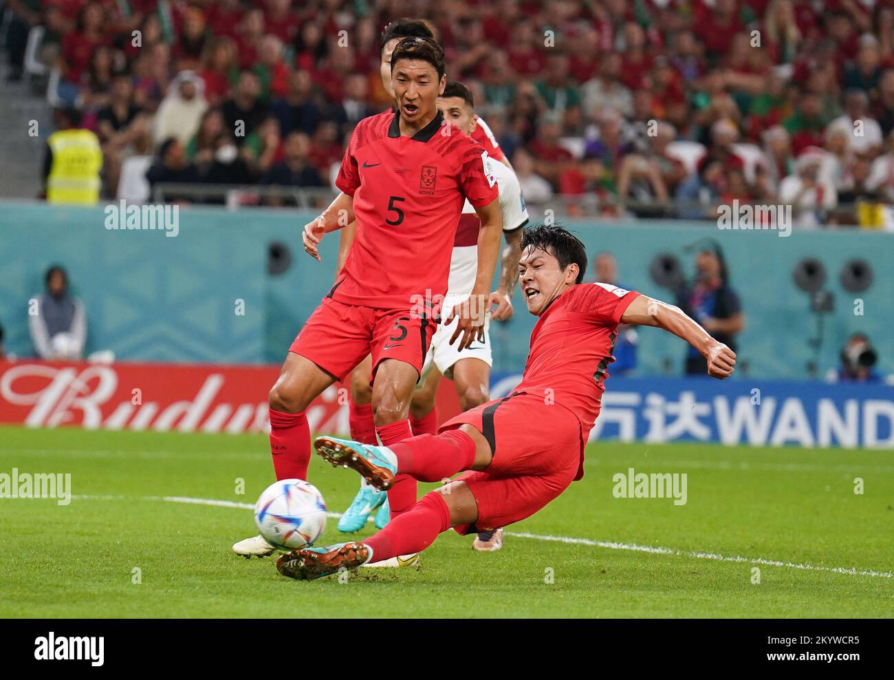 South Korea's Kim Young-Gwon scoring the equalising goal to level the score at 1-1 during the FIFA World Cup Group H match at the Education City Stadium in Al-Rayyan, Qatar. Picture date: Friday December 2, 2022. Stock Photo