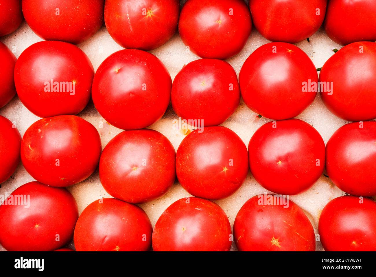 Fresh ripe red tomatoes are in the boxes in market Stock Photo - Alamy