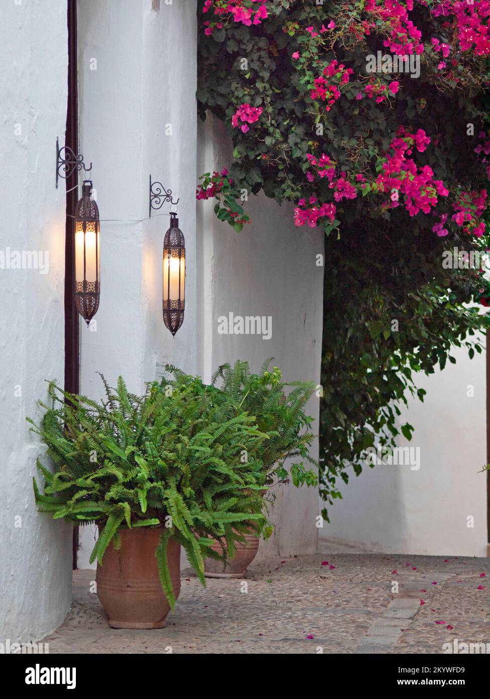 Bougainvillea by a doorway in the Spanish town of Vejer de la Frontera Stock Photo