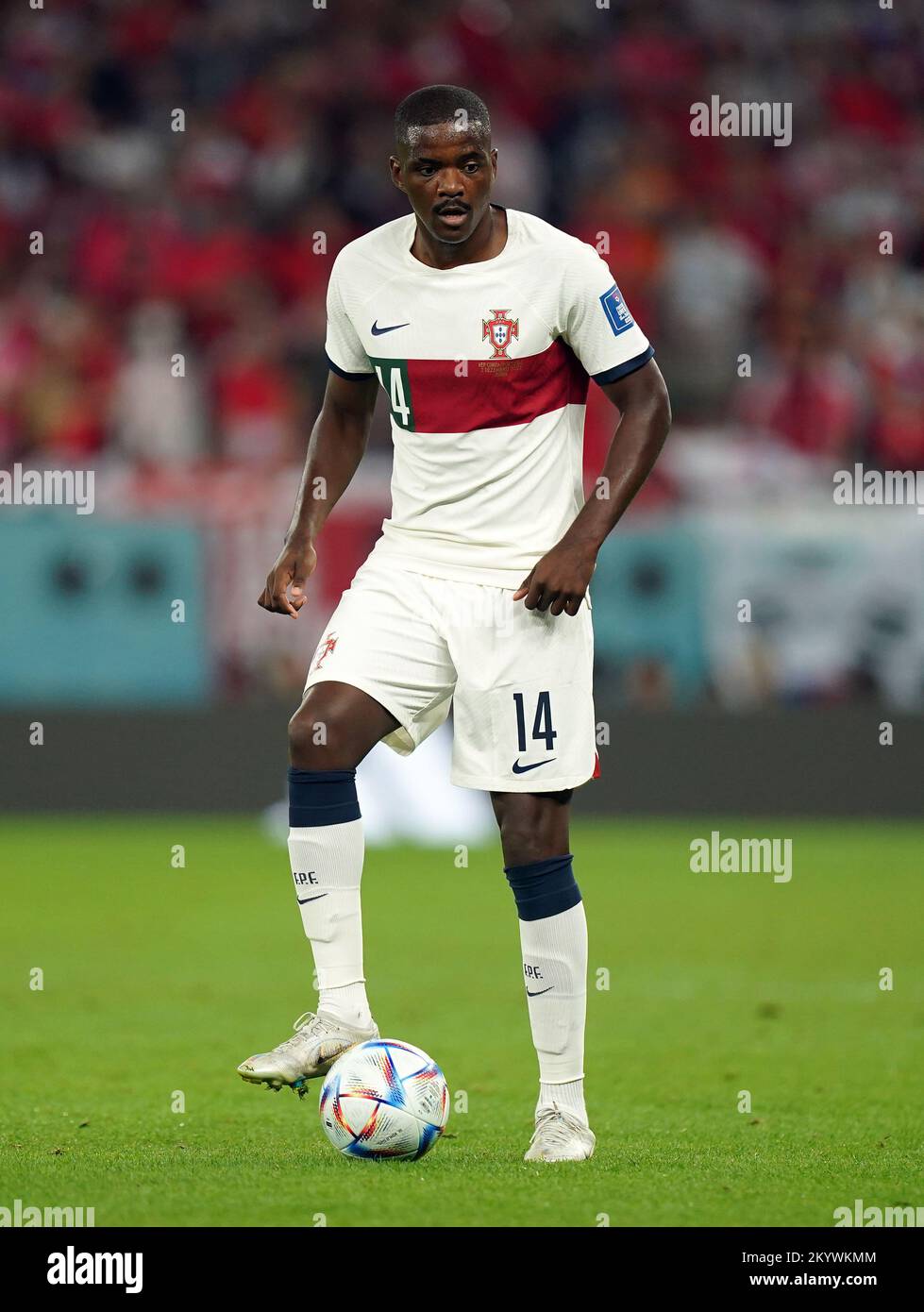 Portugal's William Carvalho during the FIFA World Cup Group H match at the Education City Stadium in Al-Rayyan, Qatar. Picture date: Friday December 2, 2022. Stock Photo