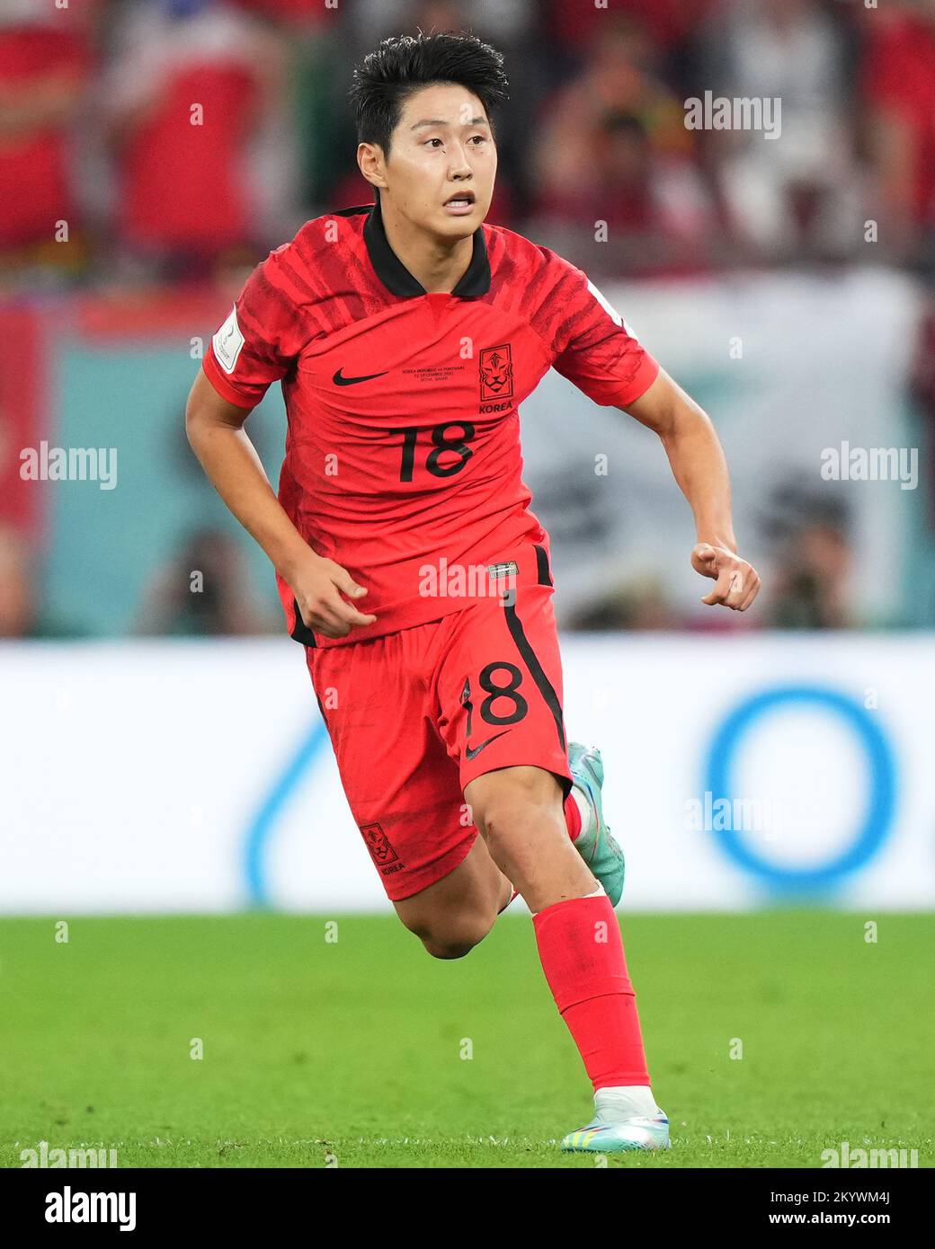 Lee Kangin Lee of South Korea during the FIFA World Cup Qatar 2022 match,  Group H, between South Korea v Portugal played at Education City Stadium on  Dec 2, 2022 in Doha,